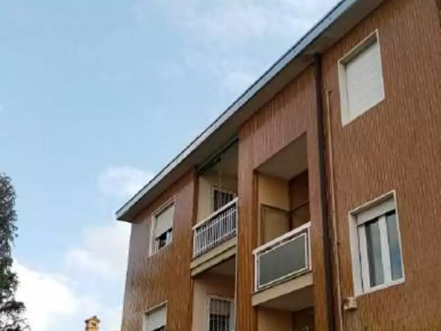 Immagine 5 di Appartamento in vendita  in Via Del Carso a Arluno