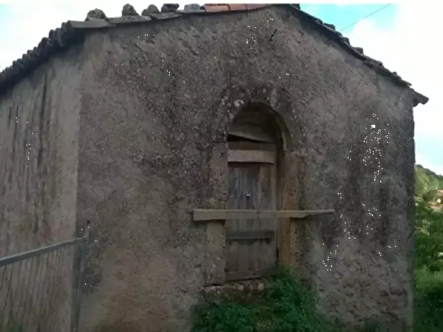 Immagine 1 di Terreno agricolo in vendita  in località Castel San Vincenzo a Castel San Vincenzo