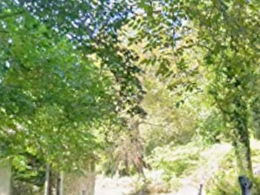 Immagine 4 di Magazzino in vendita  in Via Pandorè  a Montegrino Valtravaglia