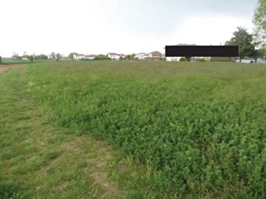 Immagine 6 di Terreno agricolo in vendita  in Via Monte Grappa a Istrana