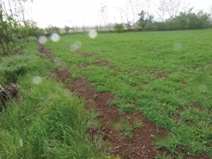 Immagine 1 di Terreno agricolo in vendita  in Via Giovanni Gasparini a Paese