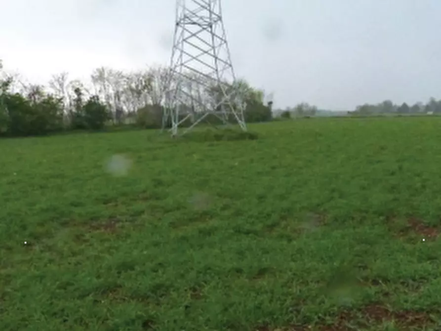 Immagine 6 di Terreno agricolo in vendita  in Via Giovanni Gasparini a Paese