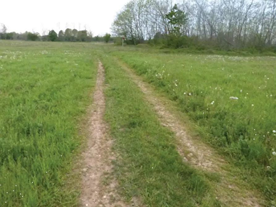 Immagine 9 di Terreno agricolo in vendita  in Via Monsignor Farina a Paese