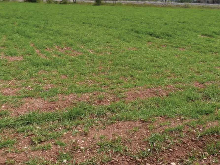 Immagine 1 di Terreno agricolo in vendita  in Via Cal Morgana a Paese