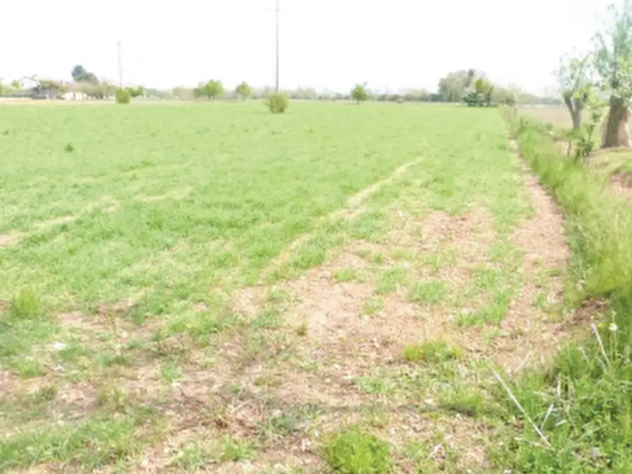 Immagine 3 di Terreno agricolo in vendita  in Via Cal Morgana a Paese