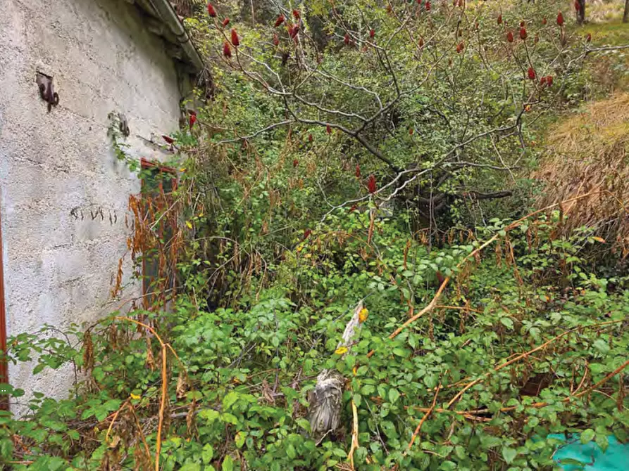 Immagine 6 di Terreno agricolo in vendita  in Via San Mor a Vittorio Veneto