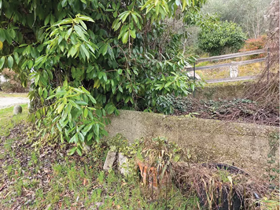 Immagine 11 di Terreno agricolo in vendita  in Via San Mor a Vittorio Veneto