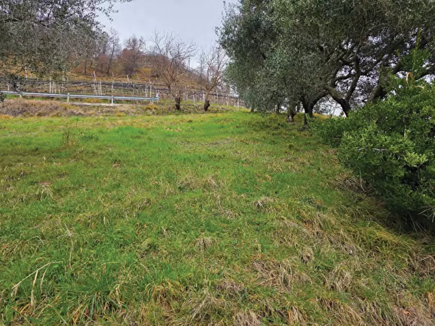 Immagine 19 di Terreno agricolo in vendita  in Via San Mor a Vittorio Veneto