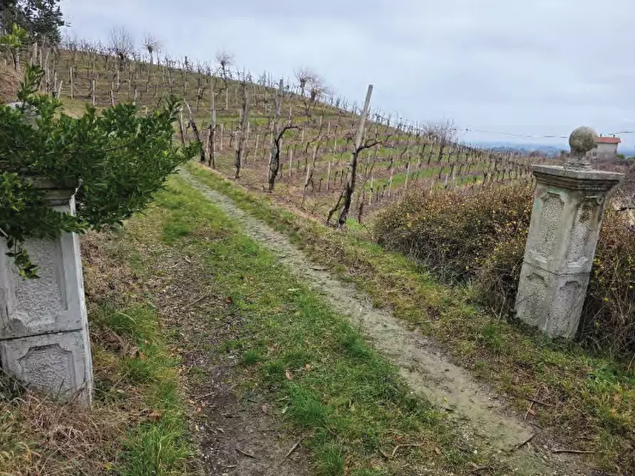 Immagine 20 di Terreno agricolo in vendita  in Via San Mor a Vittorio Veneto