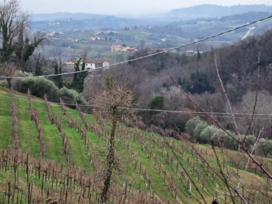 Immagine 22 di Terreno agricolo in vendita  in Via San Mor a Vittorio Veneto