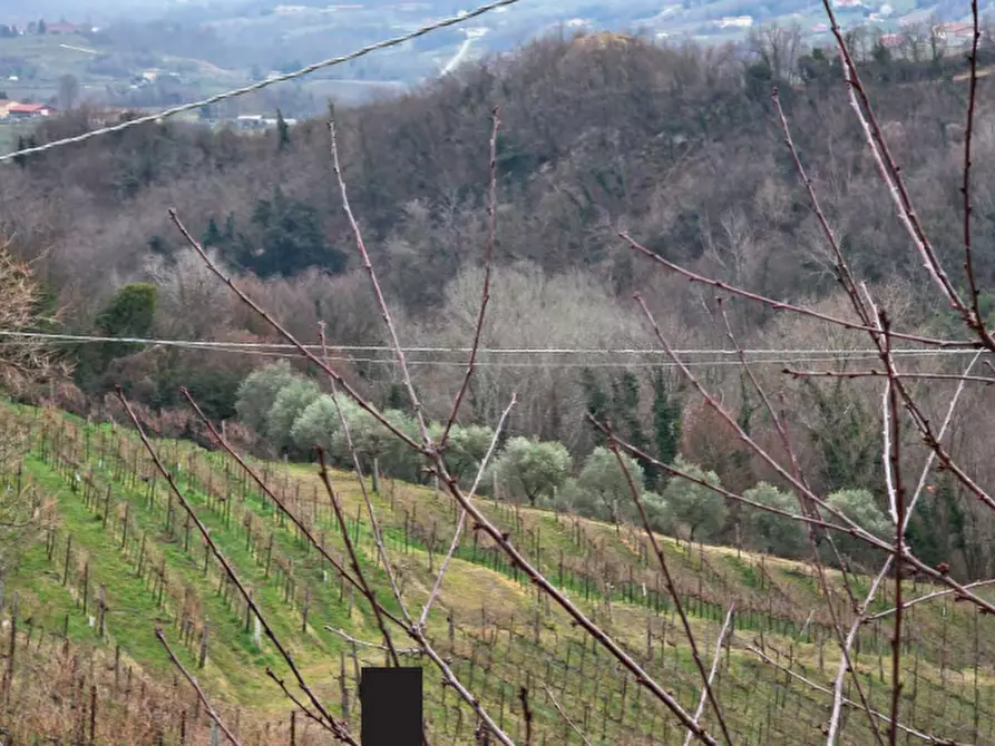 Immagine 23 di Terreno agricolo in vendita  in Via San Mor a Vittorio Veneto