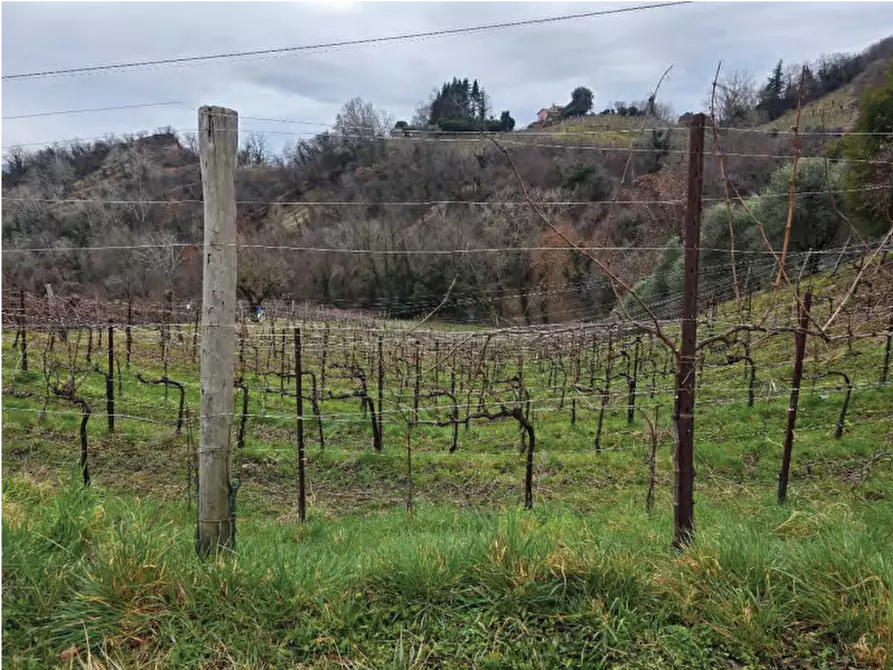 Immagine 24 di Terreno agricolo in vendita  in Via San Mor a Vittorio Veneto