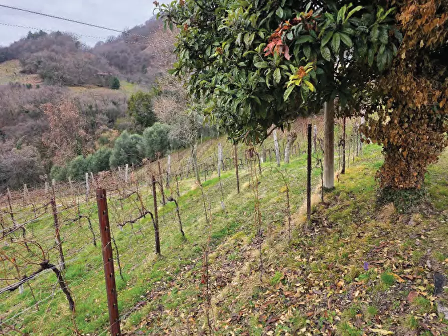 Immagine 25 di Terreno agricolo in vendita  in Via San Mor a Vittorio Veneto