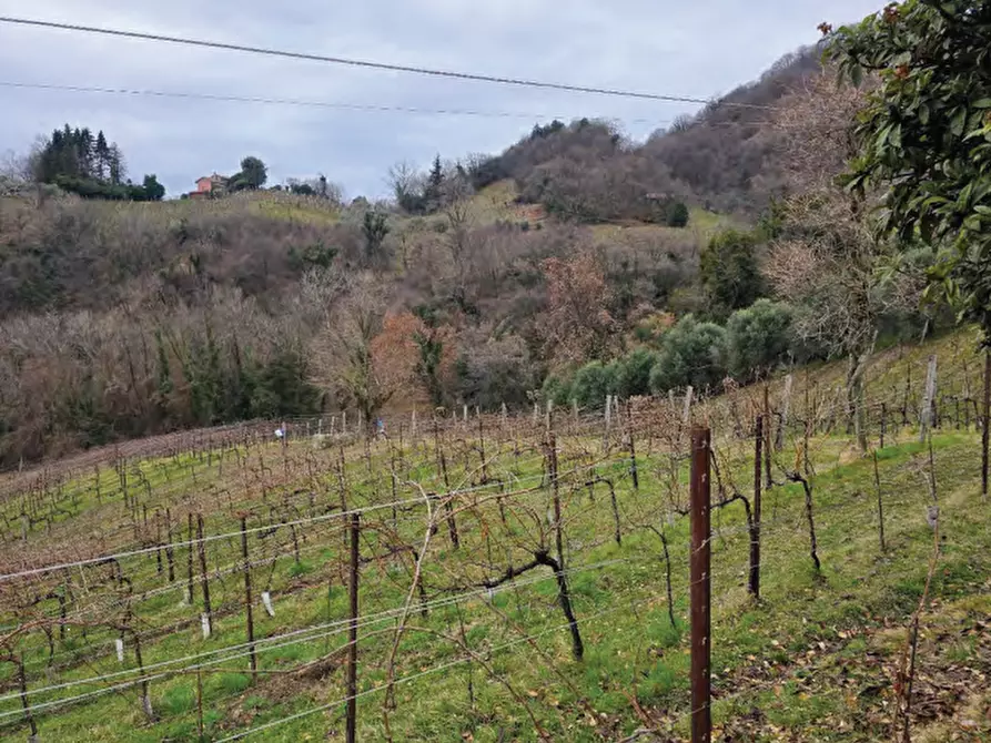 Immagine 26 di Terreno agricolo in vendita  in Via San Mor a Vittorio Veneto