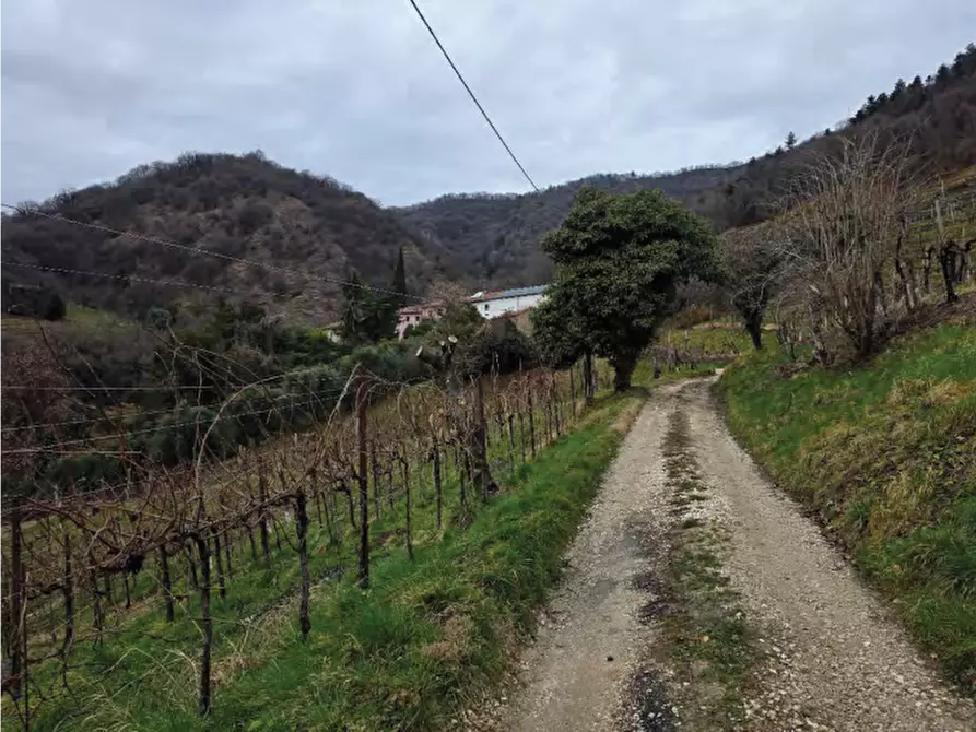 Immagine 27 di Terreno agricolo in vendita  in Via San Mor a Vittorio Veneto