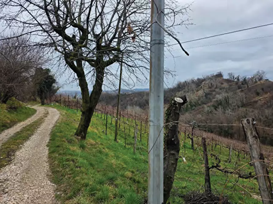 Immagine 28 di Terreno agricolo in vendita  in Via San Mor a Vittorio Veneto