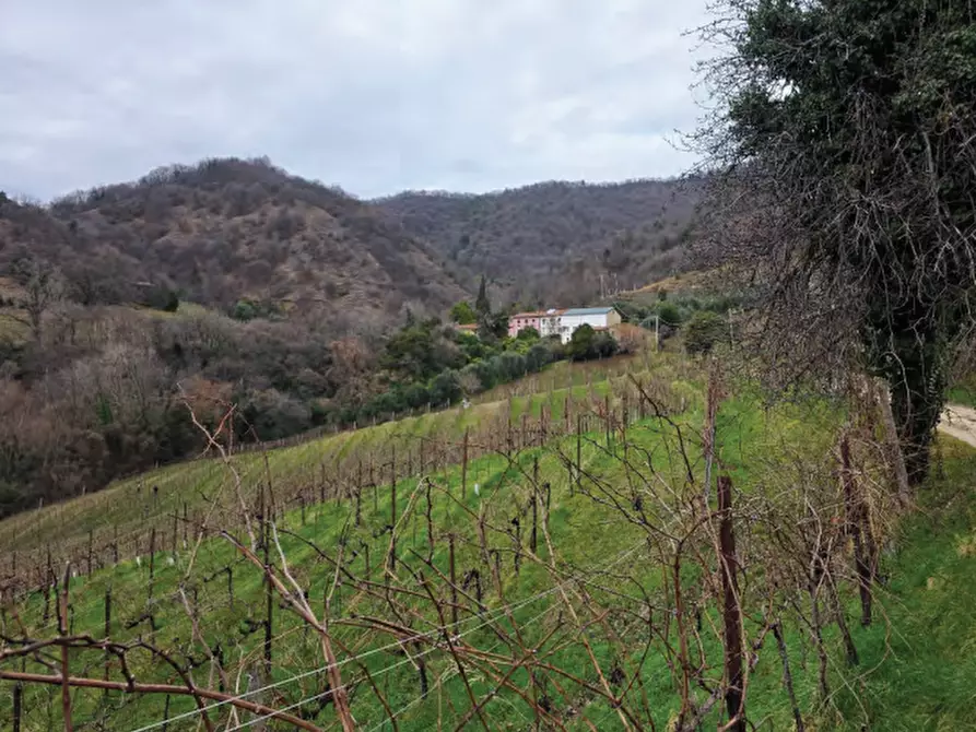 Immagine 29 di Terreno agricolo in vendita  in Via San Mor a Vittorio Veneto