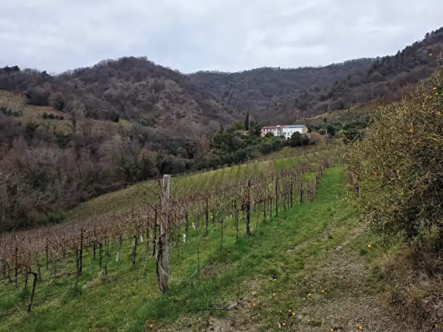 Immagine 30 di Terreno agricolo in vendita  in Via San Mor a Vittorio Veneto