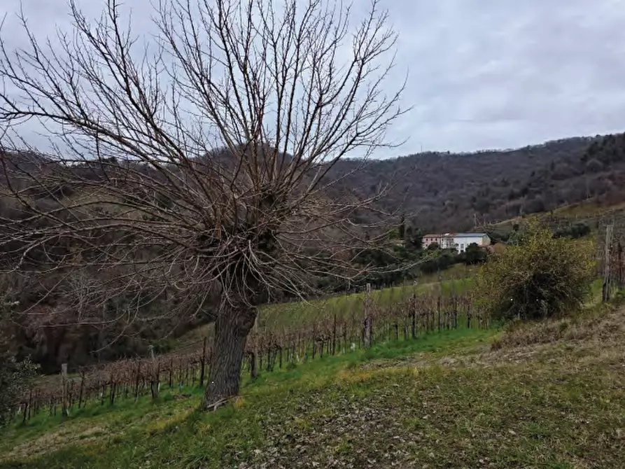 Immagine 31 di Terreno agricolo in vendita  in Via San Mor a Vittorio Veneto