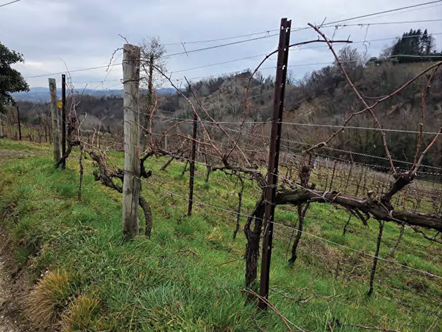 Immagine 32 di Terreno agricolo in vendita  in Via San Mor a Vittorio Veneto