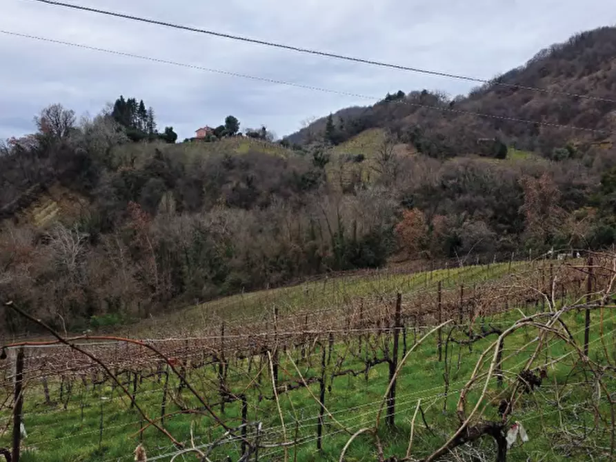 Immagine 33 di Terreno agricolo in vendita  in Via San Mor a Vittorio Veneto