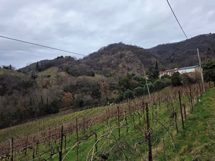 Immagine 34 di Terreno agricolo in vendita  in Via San Mor a Vittorio Veneto
