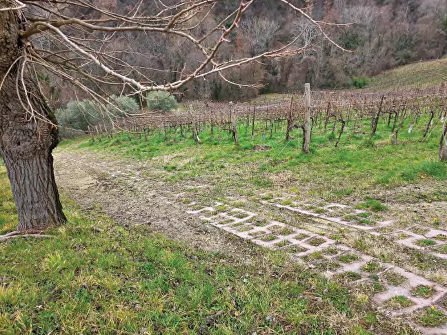Immagine 35 di Terreno agricolo in vendita  in Via San Mor a Vittorio Veneto