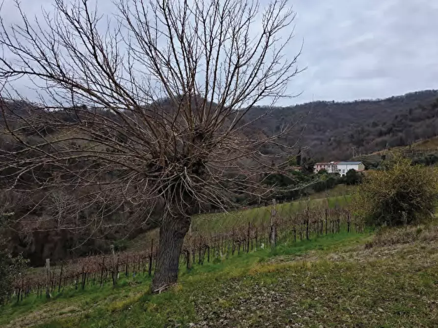 Immagine 36 di Terreno agricolo in vendita  in Via San Mor a Vittorio Veneto