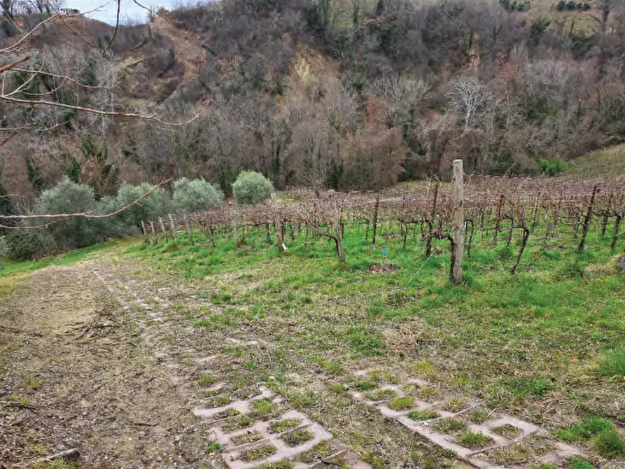 Immagine 37 di Terreno agricolo in vendita  in Via San Mor a Vittorio Veneto