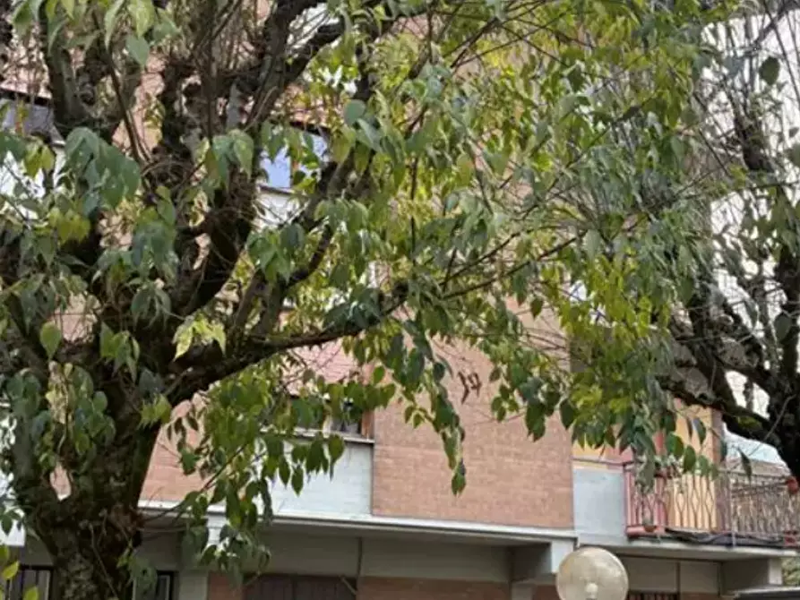 Immagine 1 di Appartamento in vendita  in Via Luca Tornini  a Carpi