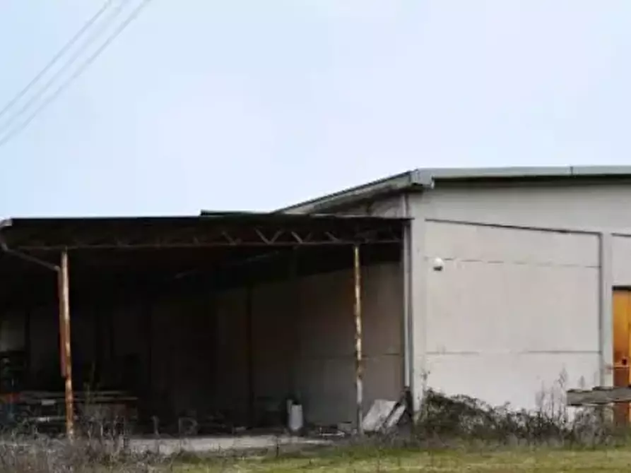 Immagine 1 di Terreno agricolo in vendita  in Contrada Covatta a Ripalimosani
