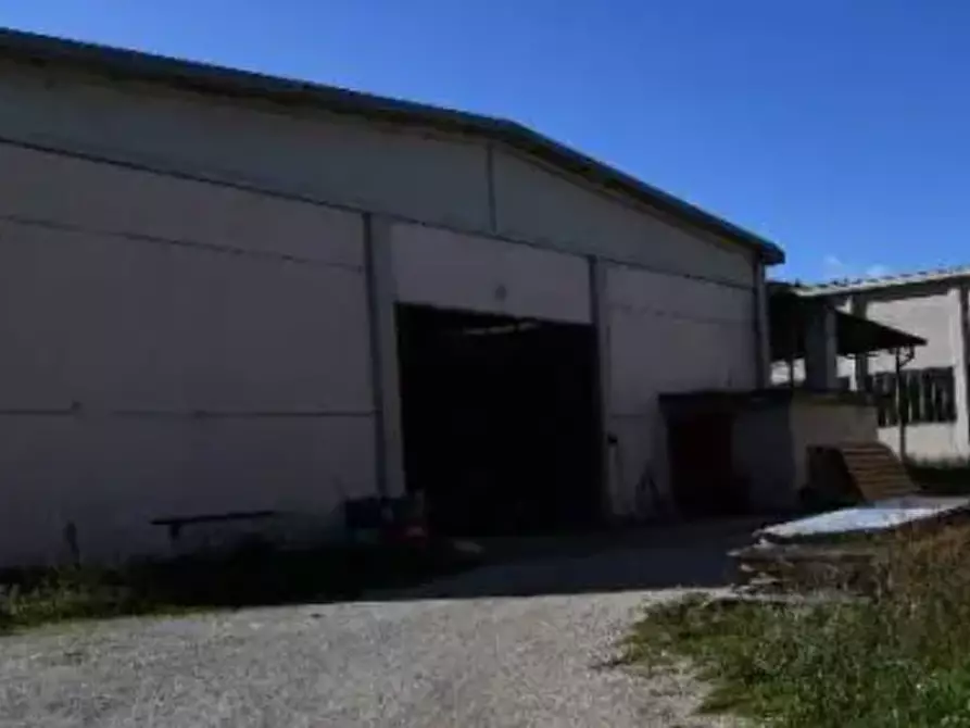 Immagine 3 di Terreno agricolo in vendita  in Contrada Covatta a Ripalimosani