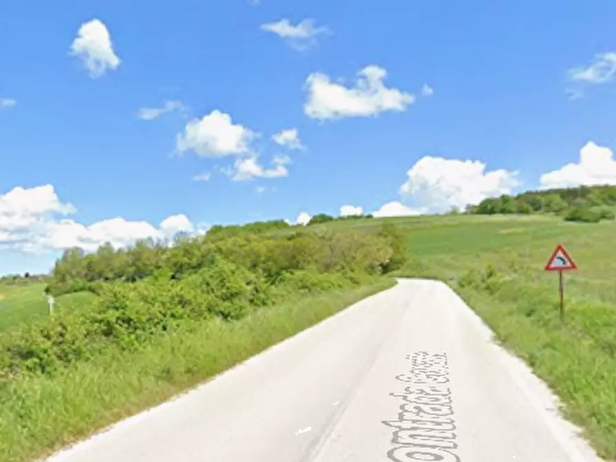 Immagine 4 di Terreno agricolo in vendita  in Contrada Covatta a Ripalimosani