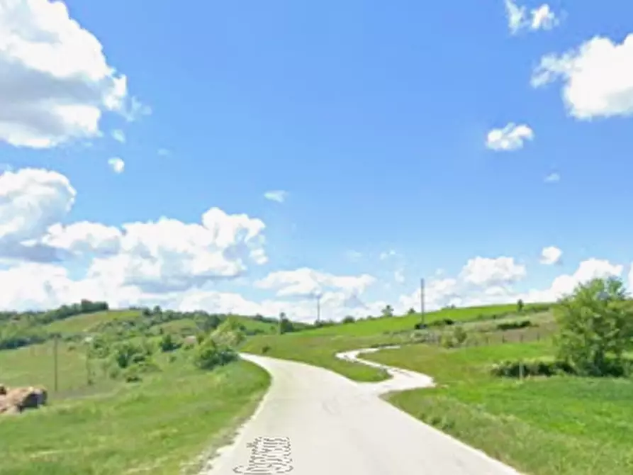 Immagine 5 di Terreno agricolo in vendita  in Contrada Covatta a Ripalimosani