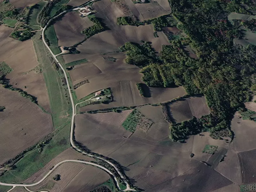 Immagine 6 di Terreno agricolo in vendita  in Contrada Covatta a Ripalimosani