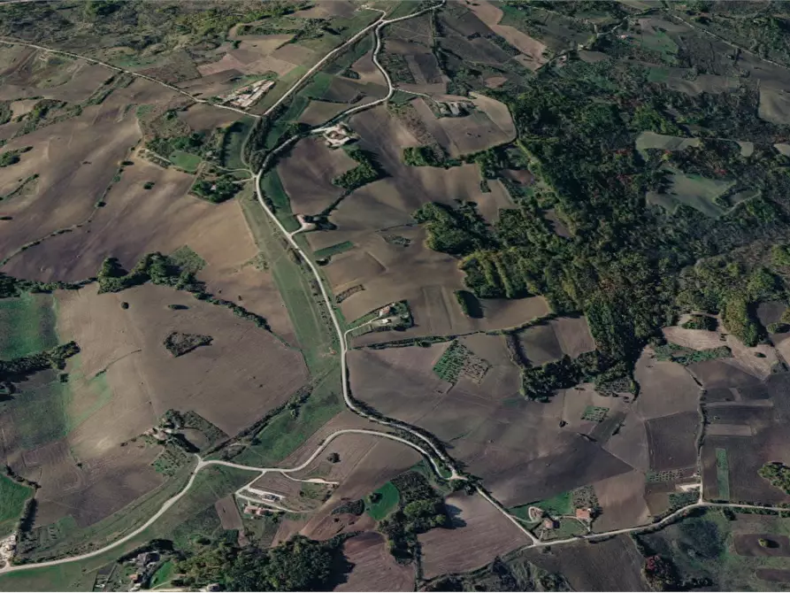 Immagine 7 di Terreno agricolo in vendita  in Contrada Covatta a Ripalimosani