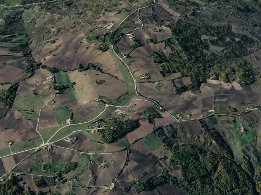 Immagine 8 di Terreno agricolo in vendita  in Contrada Covatta a Ripalimosani