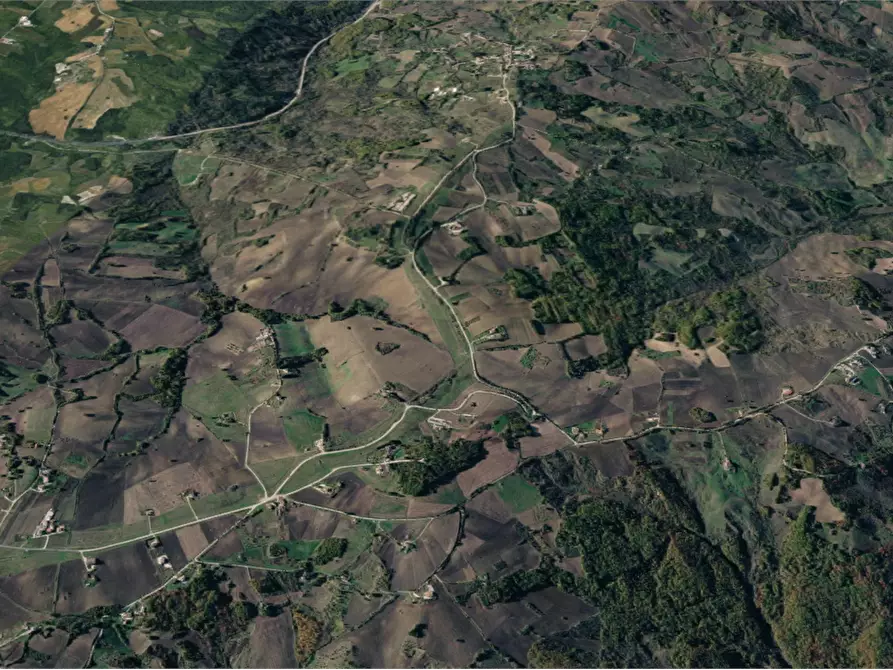 Immagine 9 di Terreno agricolo in vendita  in Contrada Covatta a Ripalimosani