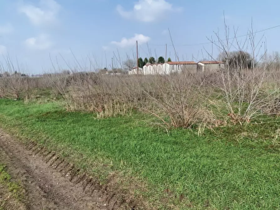Immagine 1 di Terreno agricolo in vendita  in Via della Giara a Sorgà