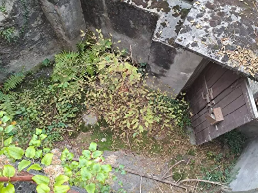 Immagine 6 di Porzione di casa in vendita  in Vicolo Carate  a Grandola Ed Uniti