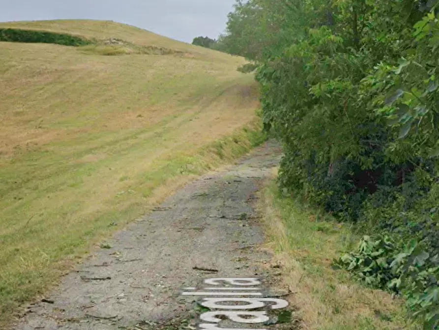 Immagine 8 di Terreno agricolo in vendita  in Via Braglia a Castellarano