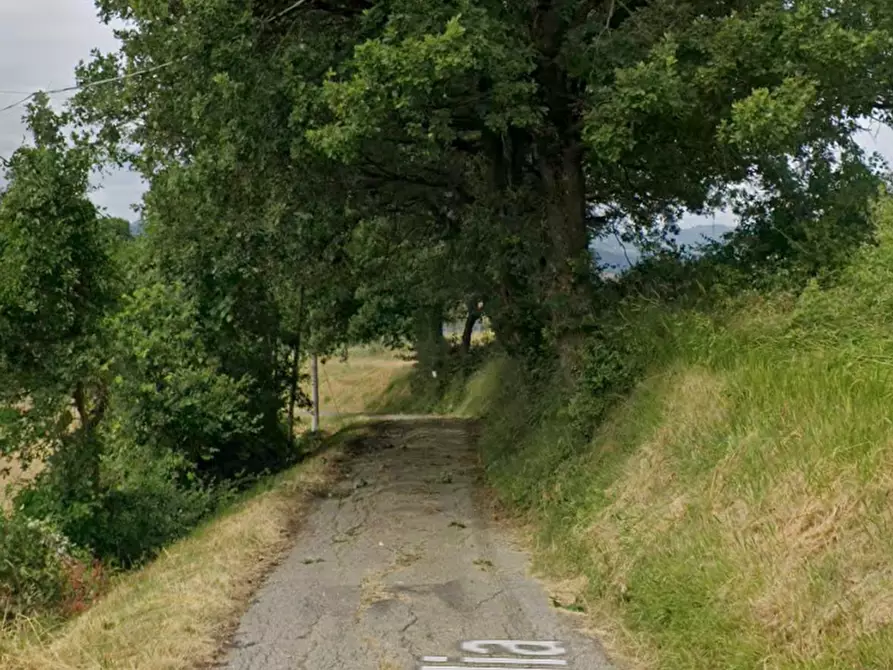 Immagine 9 di Terreno agricolo in vendita  in Via Braglia a Castellarano