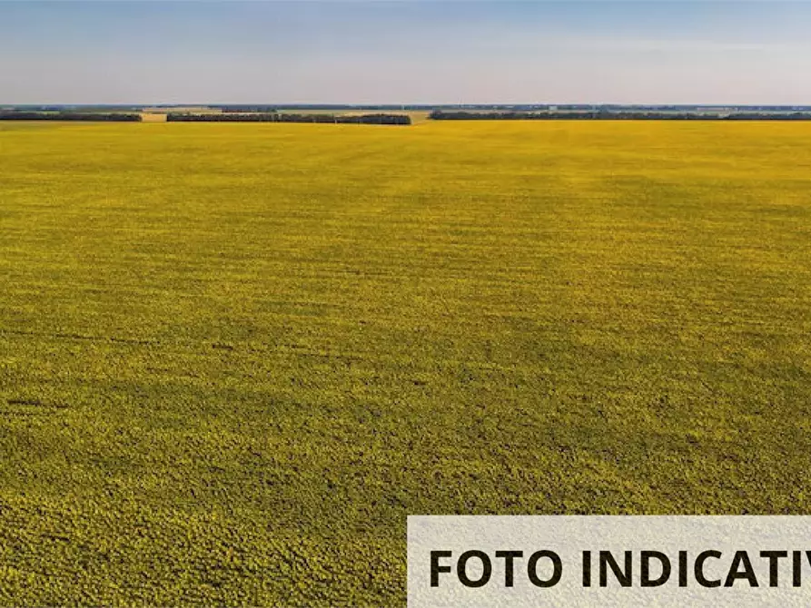 Immagine 10 di Terreno agricolo in vendita  in Via Braglia a Castellarano