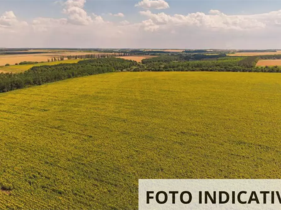 Immagine 11 di Terreno agricolo in vendita  in Via Braglia a Castellarano
