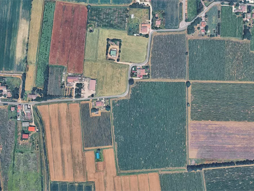Immagine 1 di Terreno agricolo in vendita  a Novellara