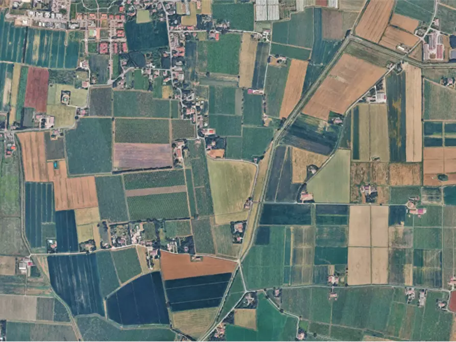 Immagine 2 di Terreno agricolo in vendita  a Novellara