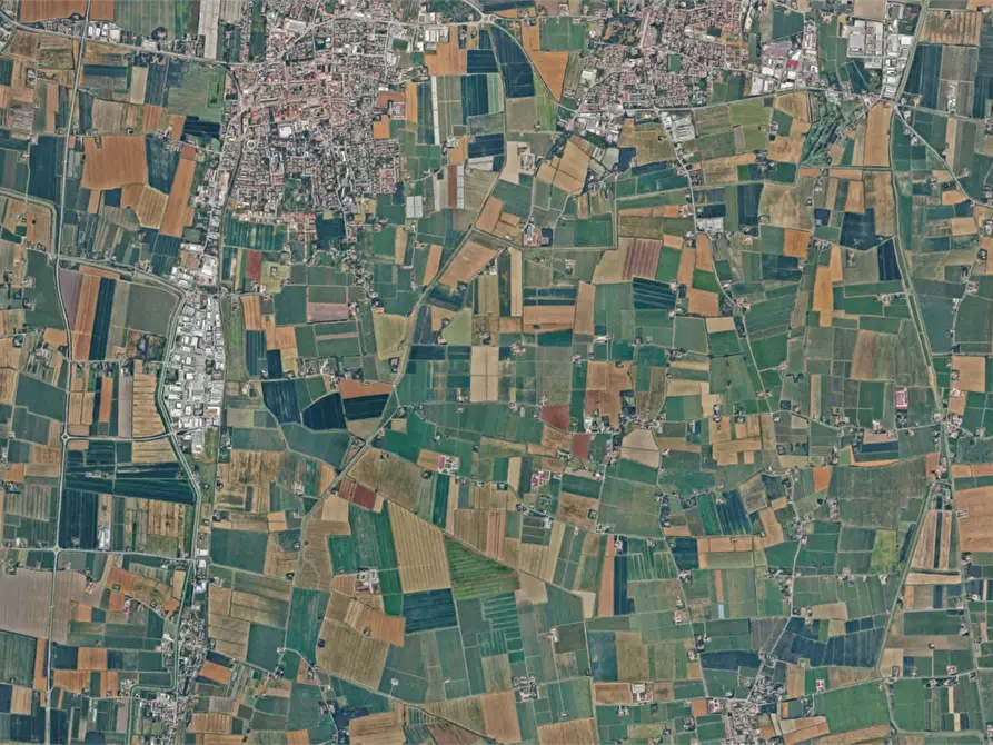 Immagine 3 di Terreno agricolo in vendita  a Novellara