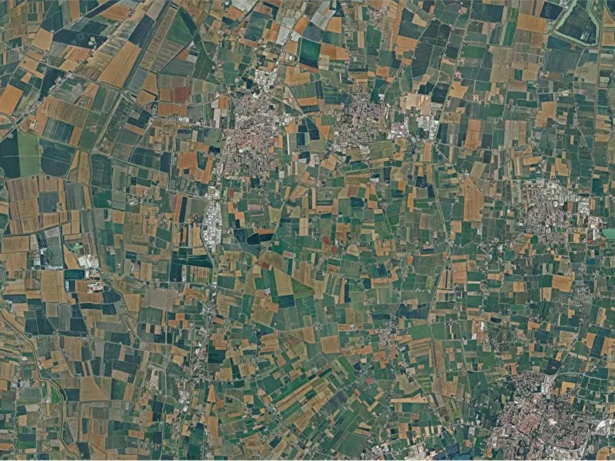 Immagine 4 di Terreno agricolo in vendita  a Novellara