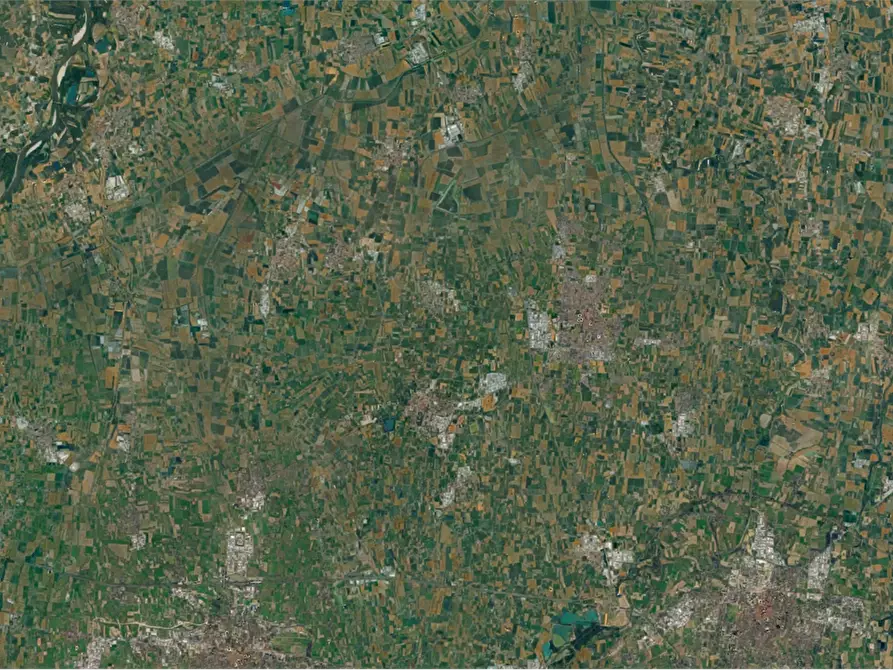 Immagine 5 di Terreno agricolo in vendita  a Novellara