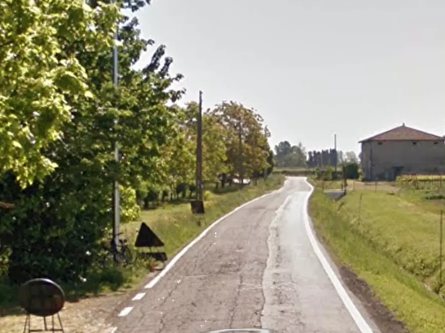 Immagine 8 di Terreno agricolo in vendita  a Novellara